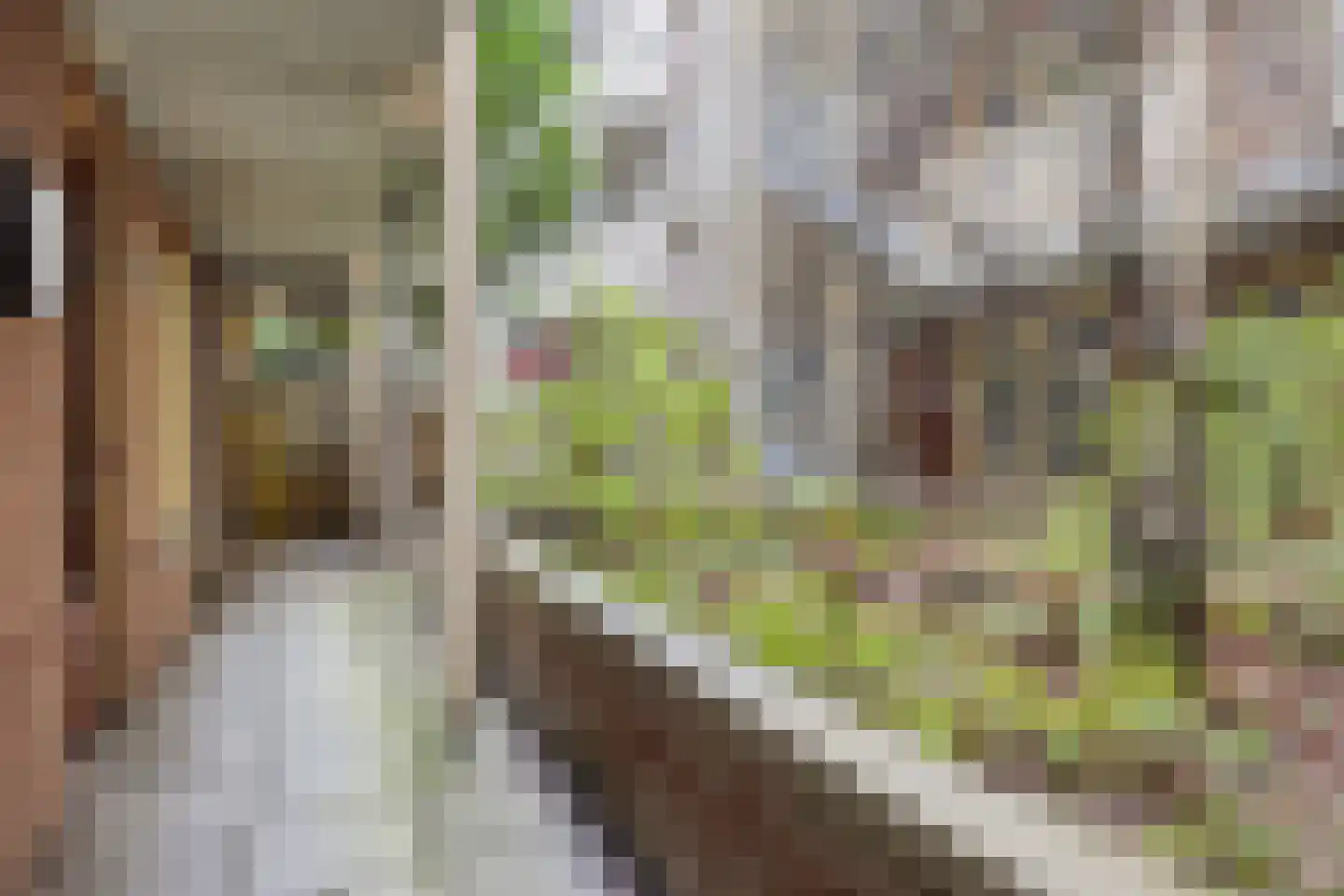 Kuipersstraat 197 Amsterdam thumbnail 19