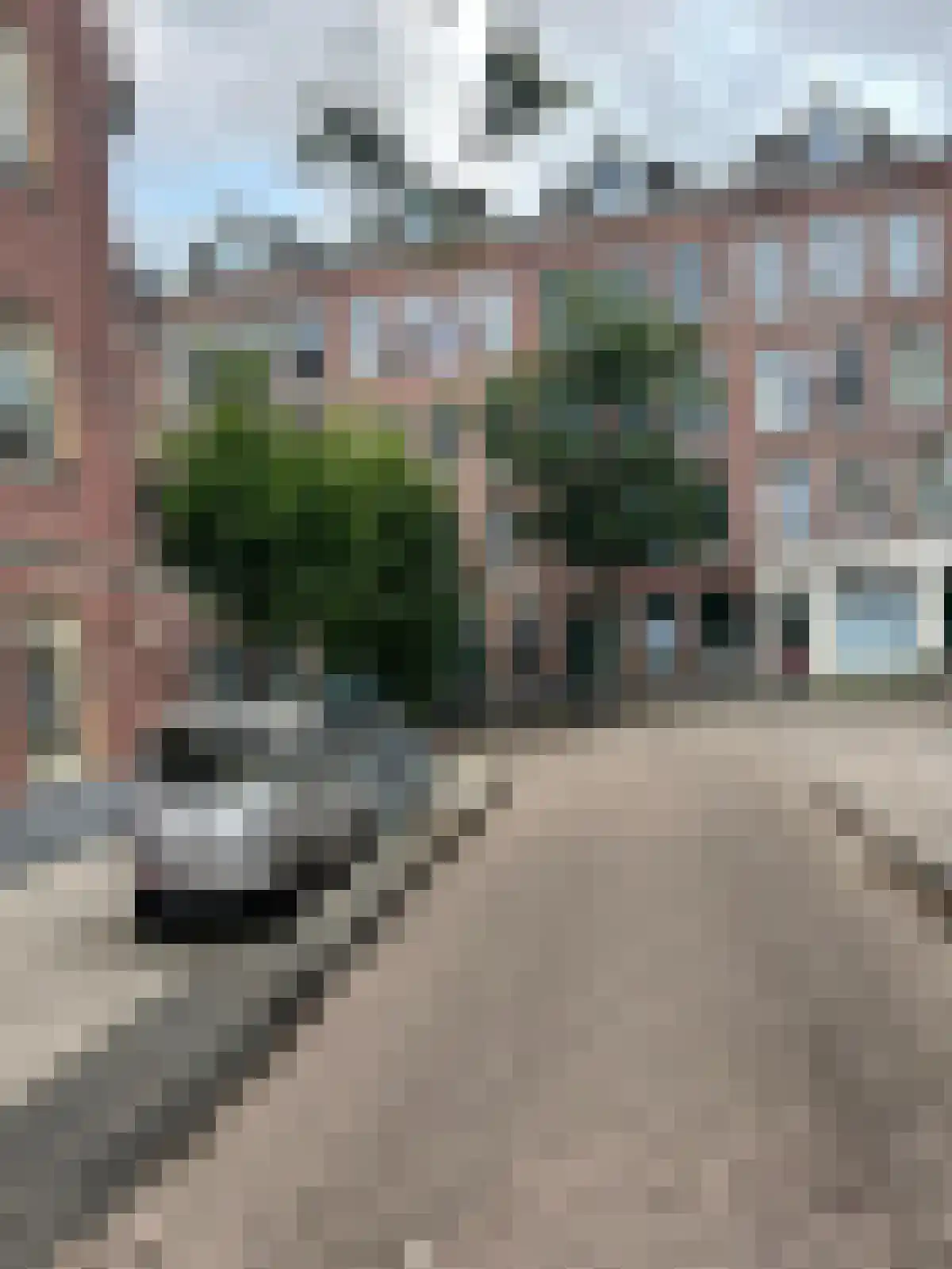 Kuipersstraat 197 Amsterdam thumbnail 41