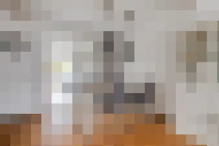 Kuipersstraat 21 Oeffelt thumbnail 13