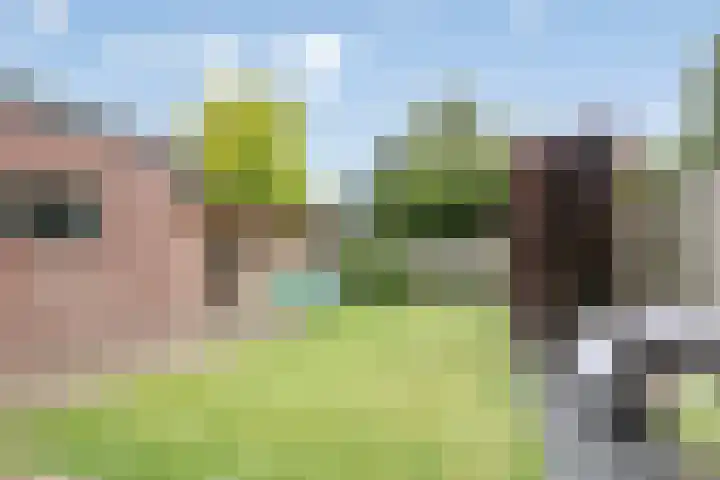 Kuipersstraat 21 Oeffelt thumbnail 33