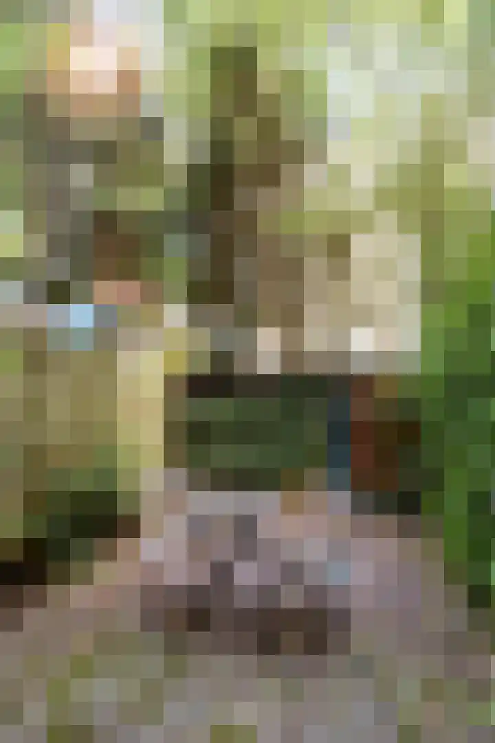 Kuipersstraat 4 A Amsterdam thumbnail 39