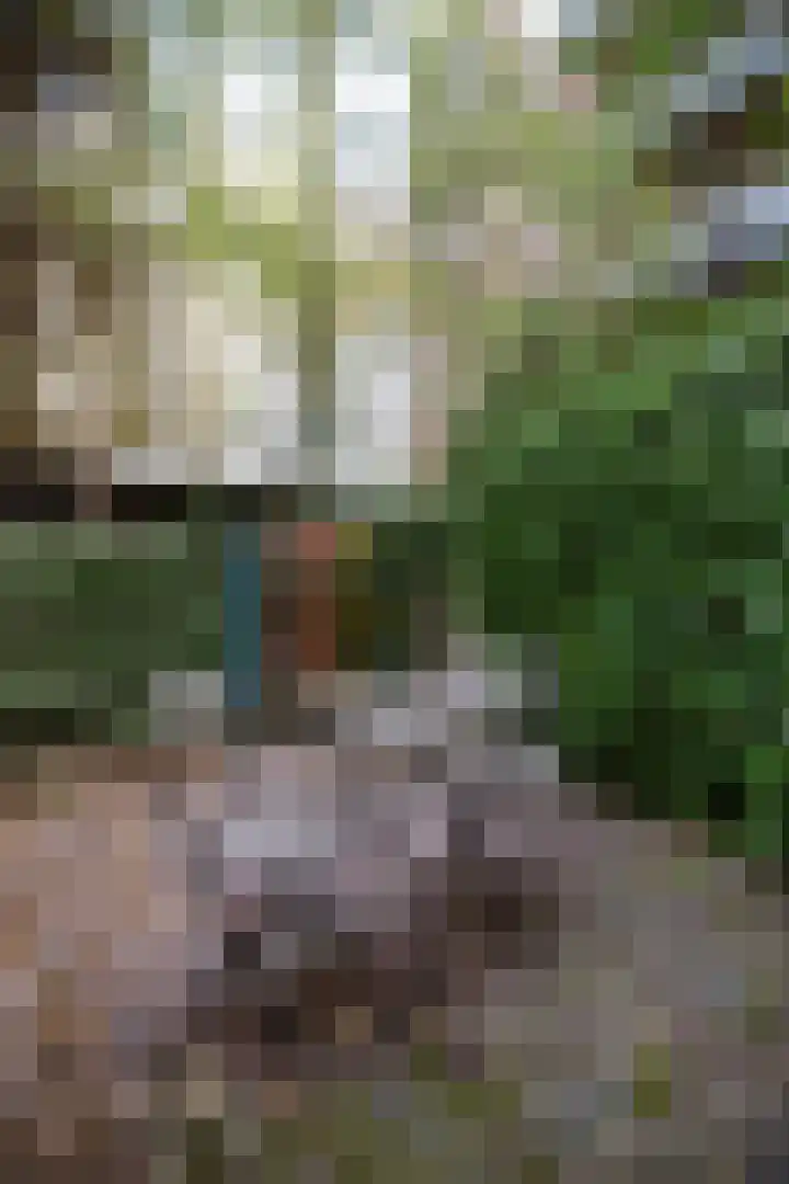 Kuipersstraat 4 A Amsterdam thumbnail 40