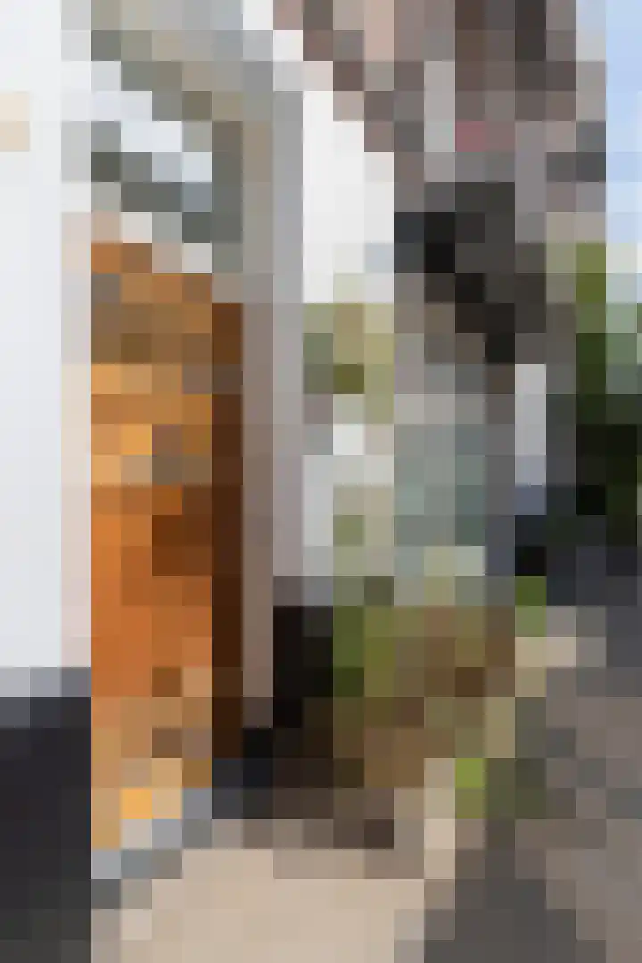 Kuipersstraat 4 A Amsterdam thumbnail 41