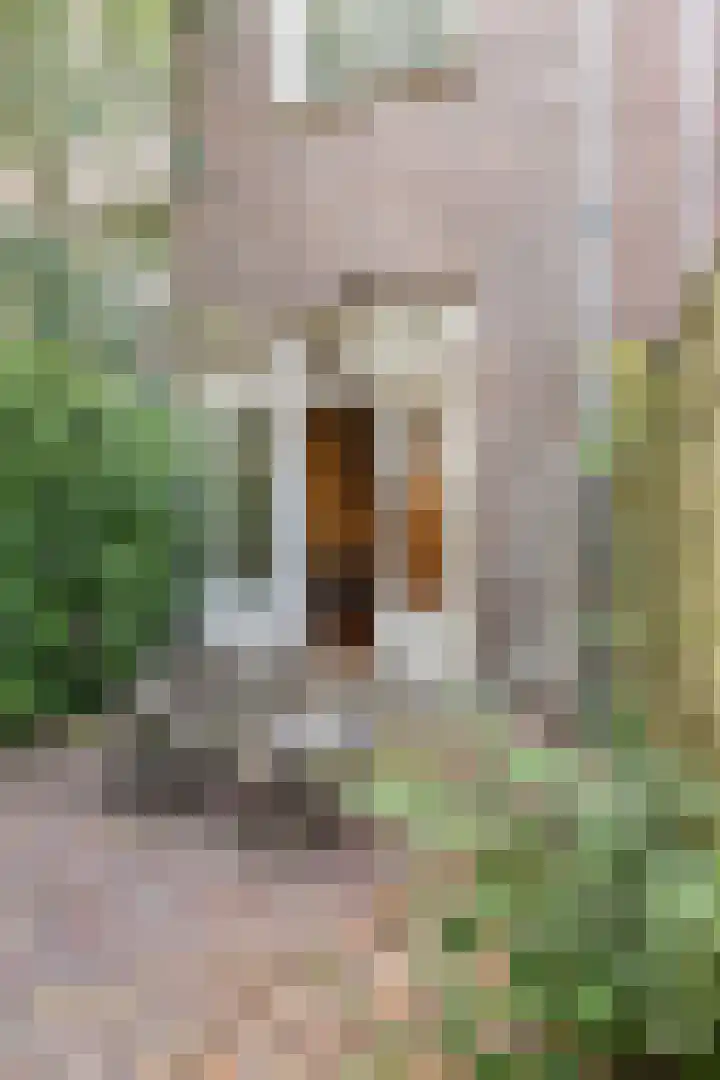 Kuipersstraat 4 A Amsterdam thumbnail 42