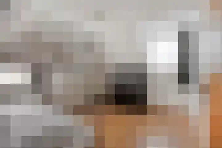 Kuipersstraat 4 Oeffelt thumbnail 26