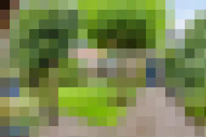 Kuipersstraat 4 Oeffelt thumbnail 31