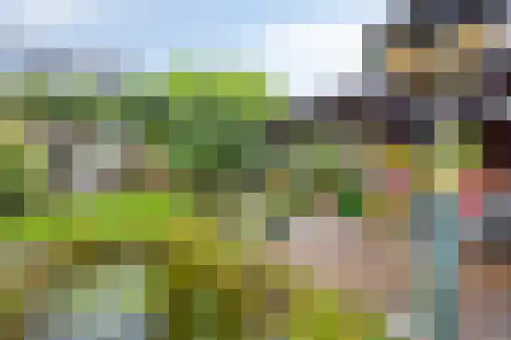 Kuipersstraat 4 Oeffelt thumbnail 32