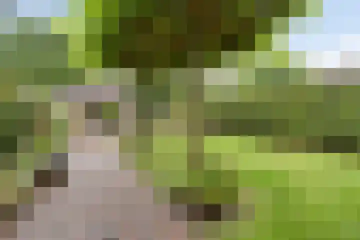 Kuipersstraat 4 Oeffelt thumbnail 35