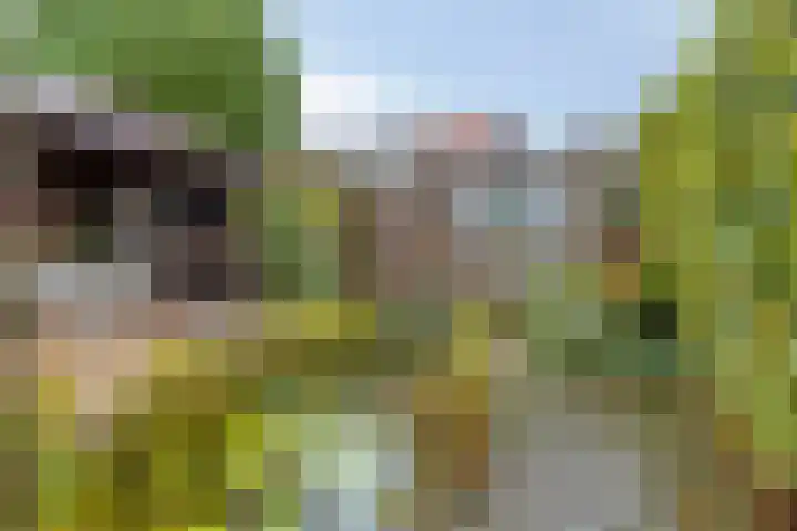 Kuipersstraat 4 Oeffelt thumbnail 36