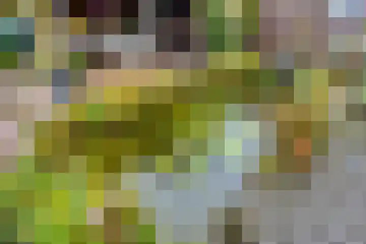 Kuipersstraat 4 Oeffelt thumbnail 37