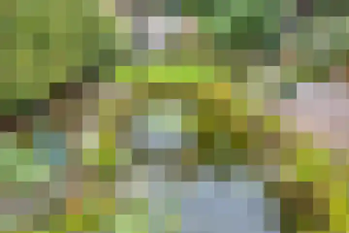 Kuipersstraat 4 Oeffelt thumbnail 38