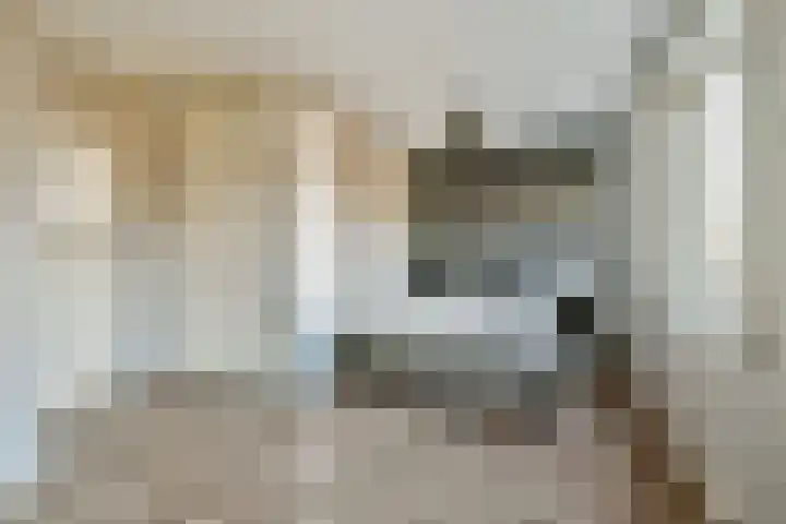 Kuipersstraat 45 H Amsterdam thumbnail 16