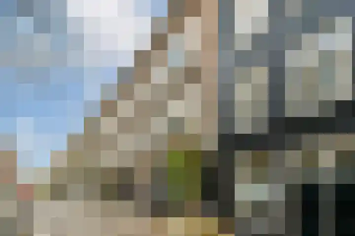 Kuipersstraat 45 H Amsterdam thumbnail 20