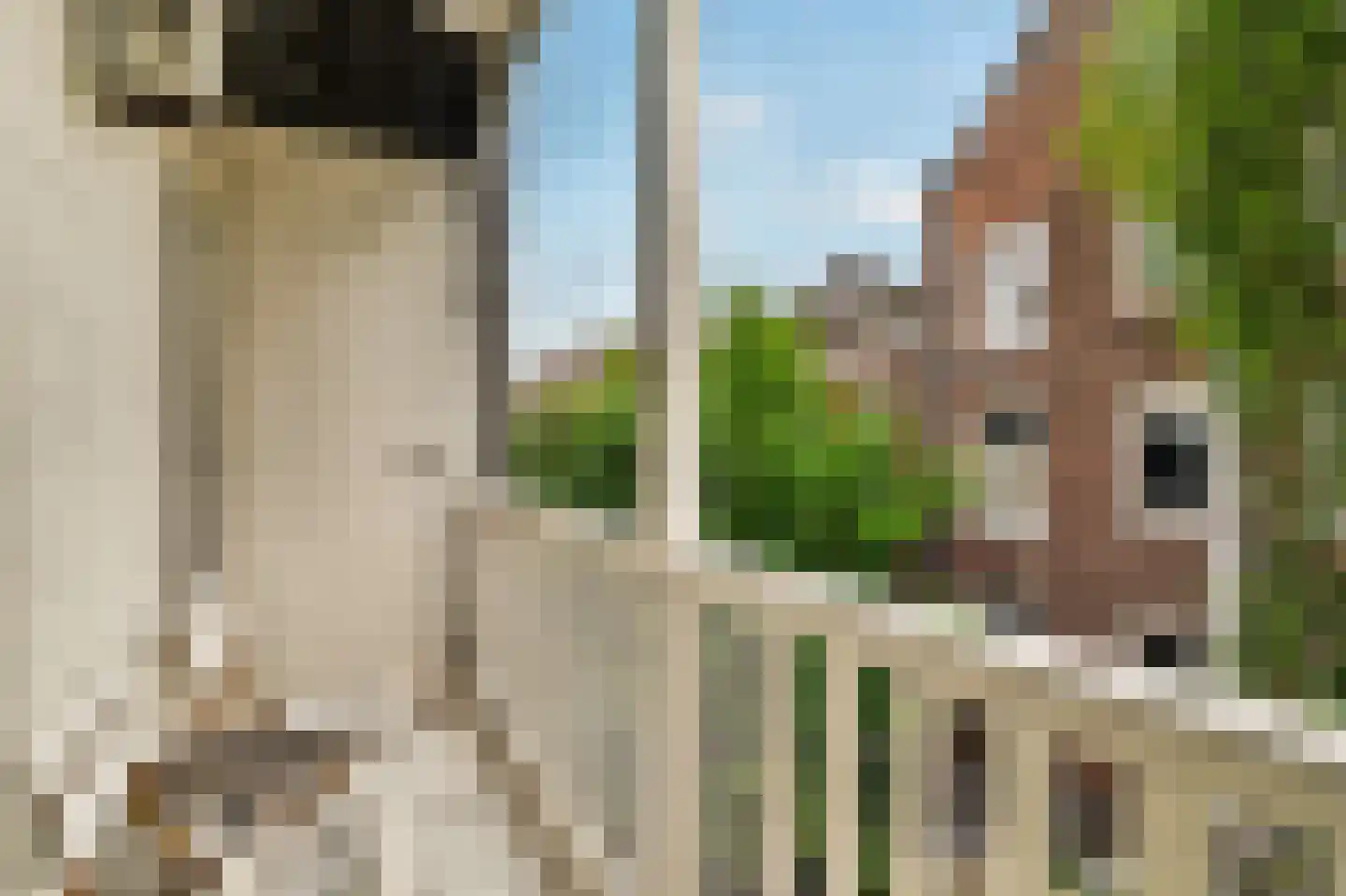 Kuipersstraat 69 A 1 Amsterdam thumbnail 9