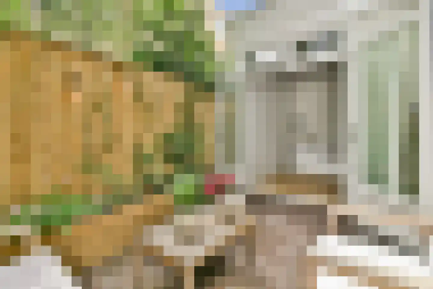 Kuipersstraat 79 1 Amsterdam thumbnail 14