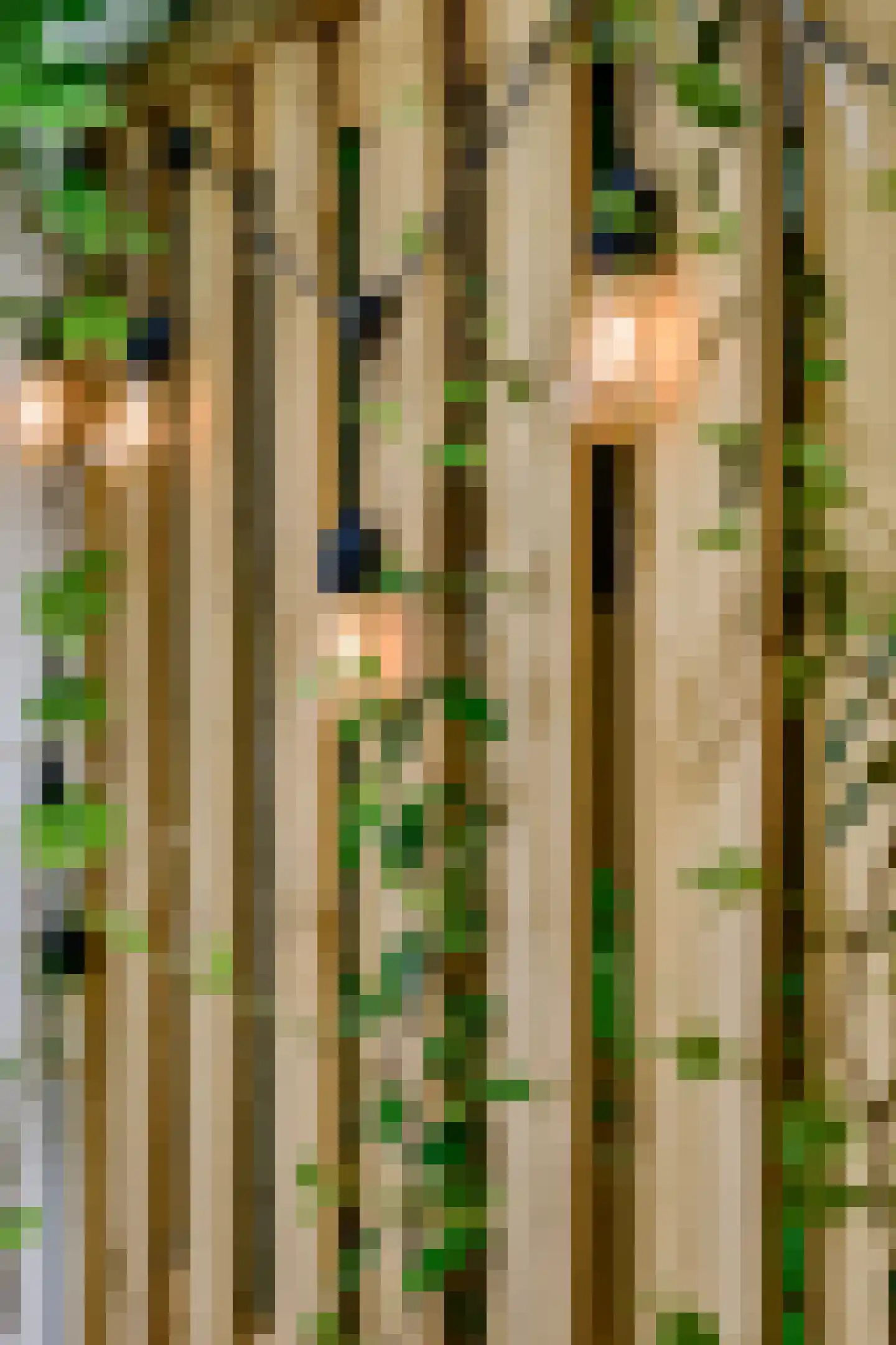 Kuipersstraat 79 1 Amsterdam thumbnail 15