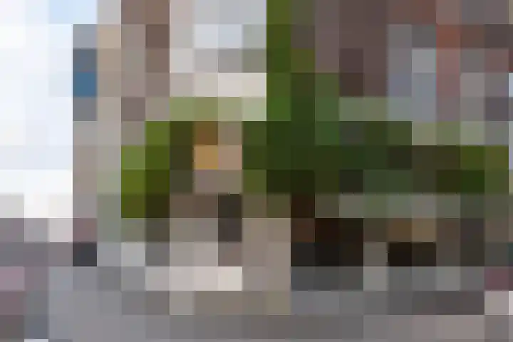 Kuipersstraat 86 H Amsterdam thumbnail 13
