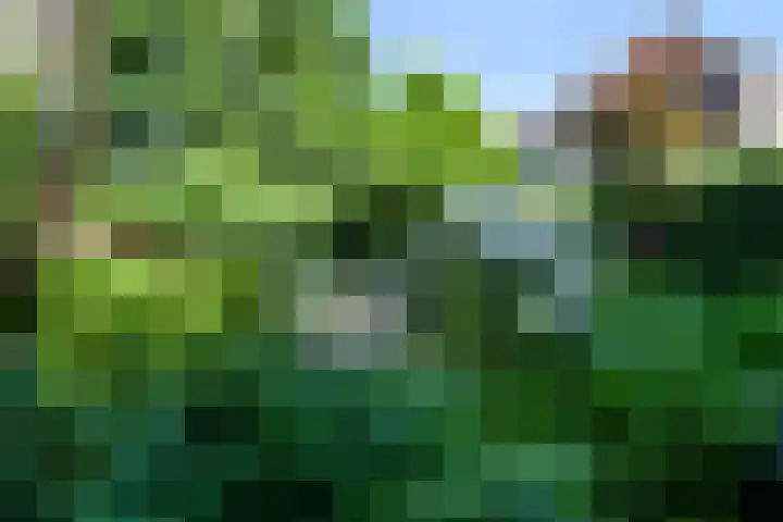 Kuiperstraat 16 Gouda thumbnail 26