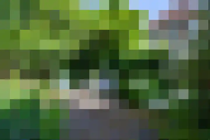 Kuiperstraat 16 Gouda thumbnail 27