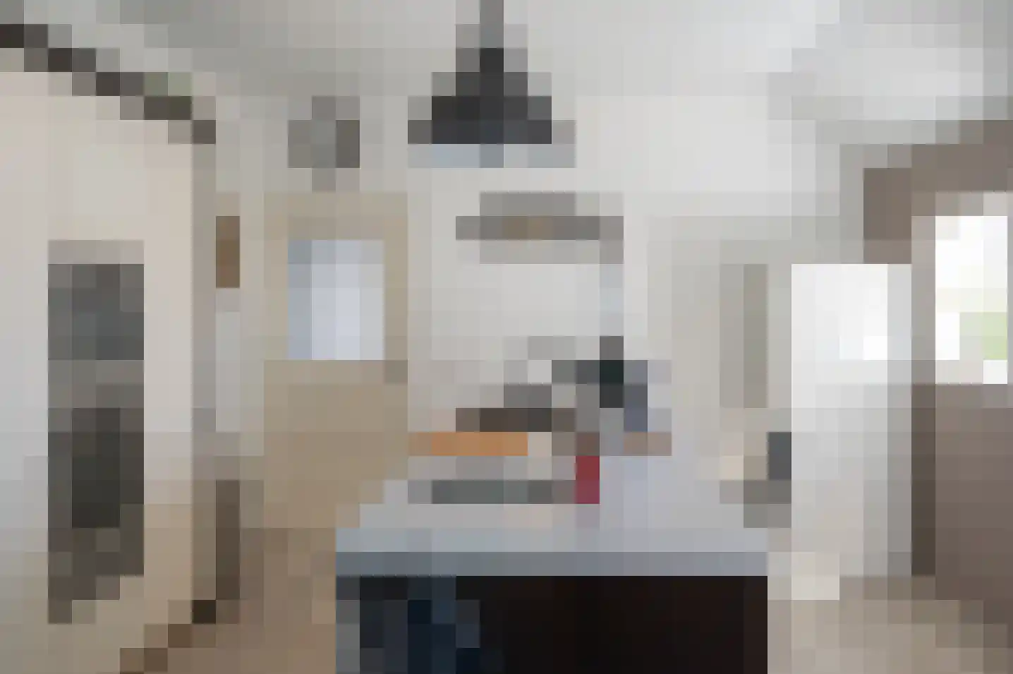 Kuiperstraat 16 Halle thumbnail 16