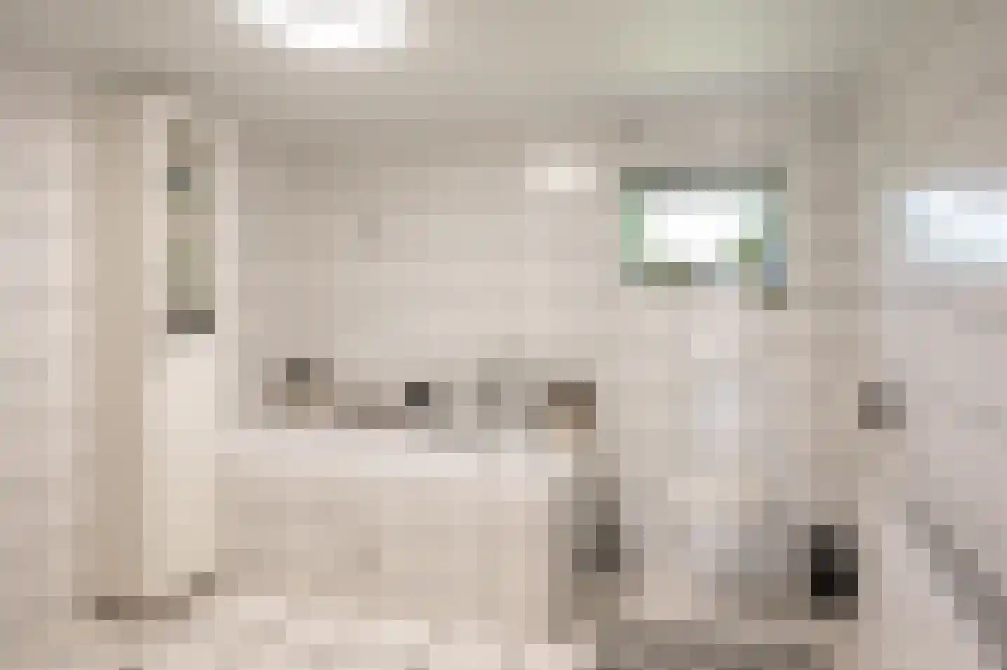 Kuiperstraat 16 Halle thumbnail 21