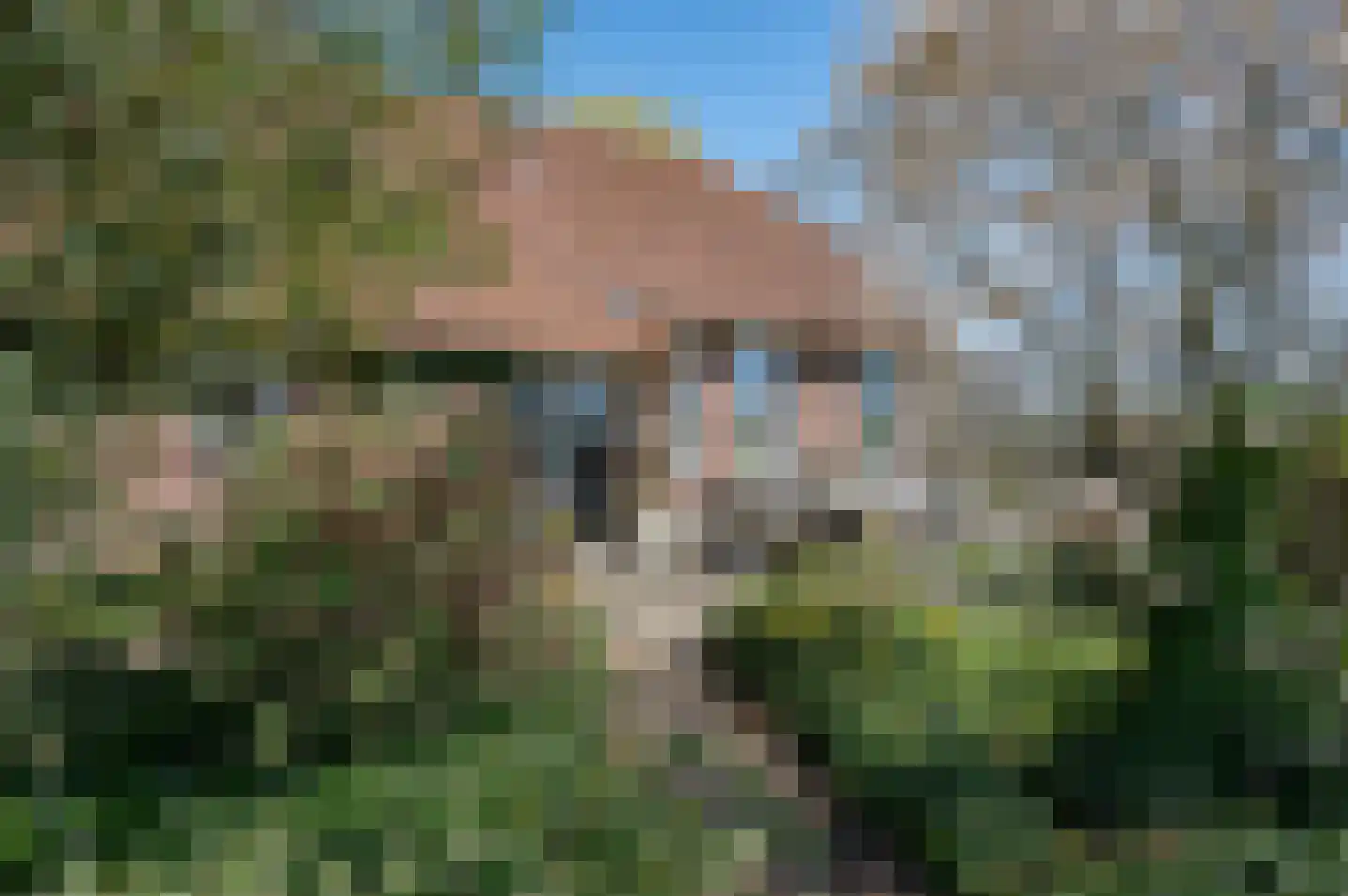 Kuiperstraat 16 Halle thumbnail 30