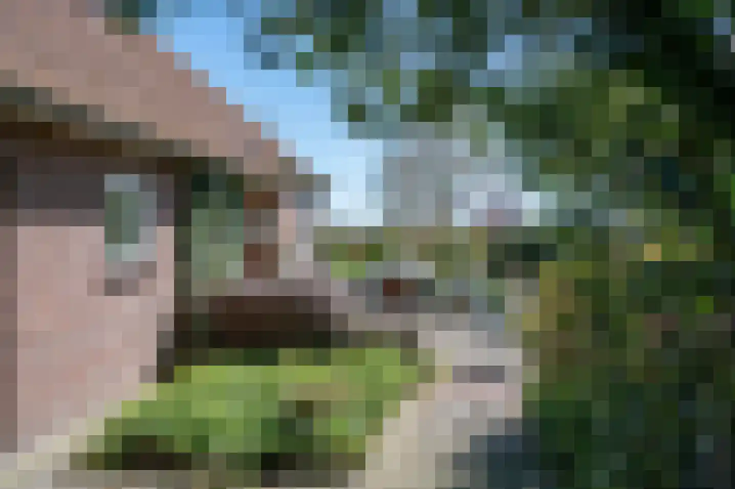 Kuiperstraat 16 Halle thumbnail 31