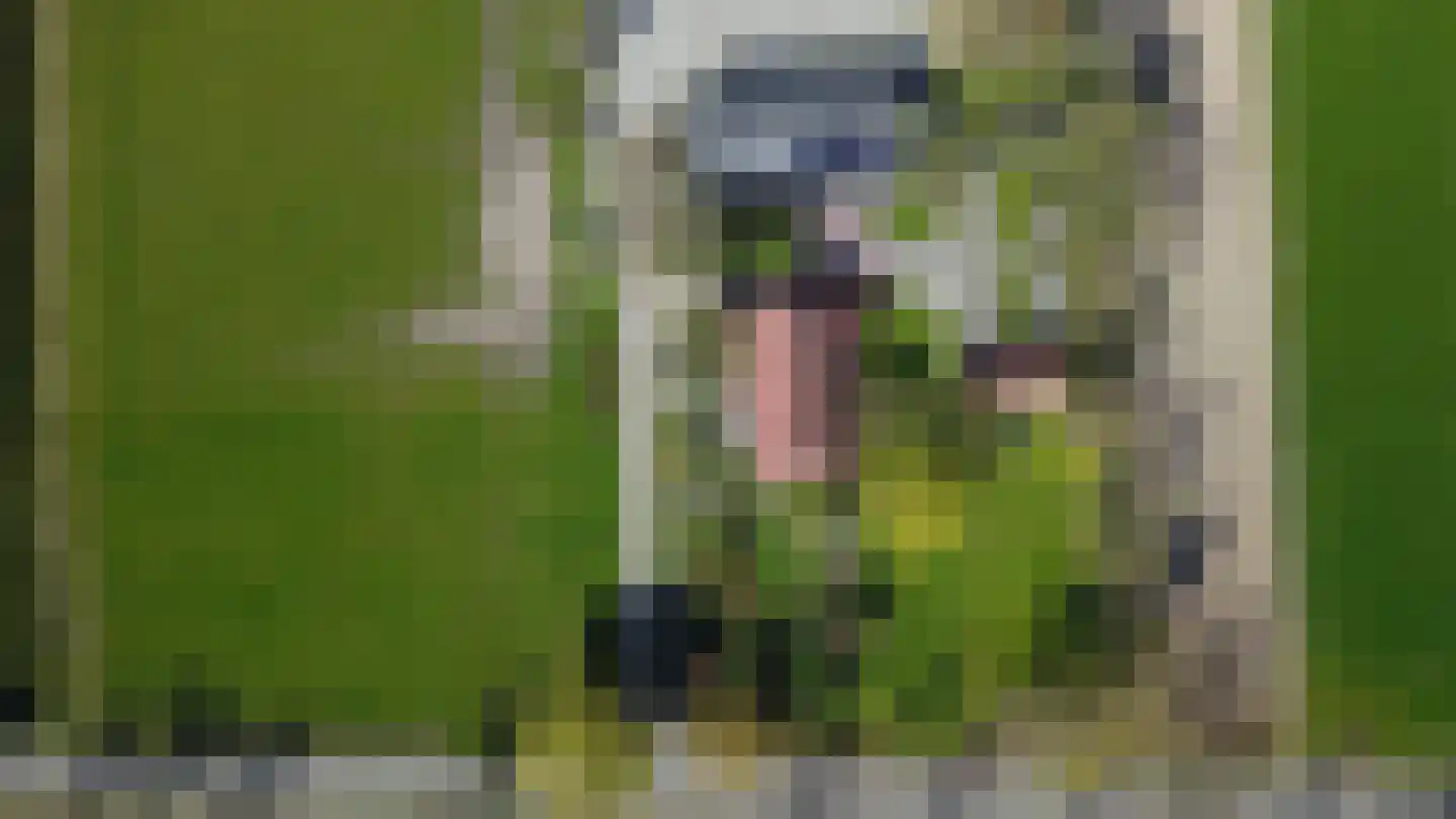 Kuiperstraat 16 Halle thumbnail 47