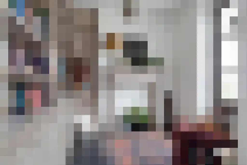 Kuiperstraat 2 B Halle thumbnail 17