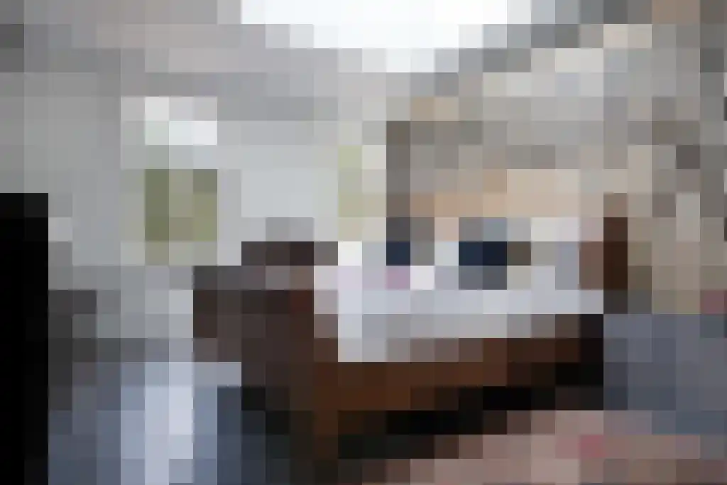Kuiperstraat 2 B Halle thumbnail 18