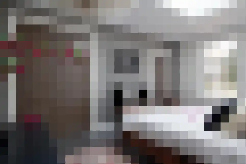 Kuiperstraat 2 B Halle thumbnail 21