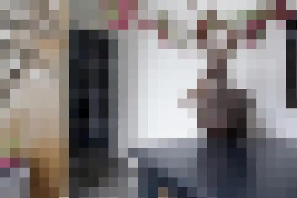 Kuiperstraat 2 B Halle thumbnail 22