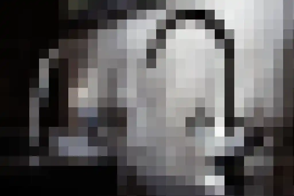 Kuiperstraat 2 B Halle thumbnail 24