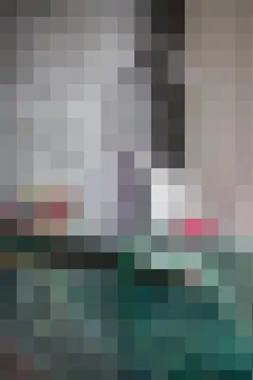 Kuiperstraat 2 B Halle thumbnail 27
