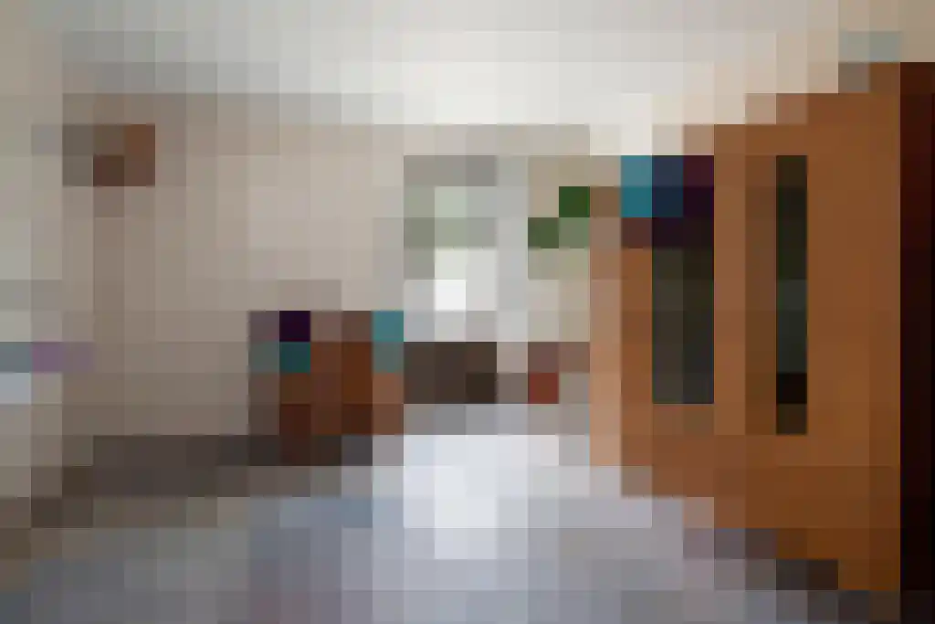 Kuiperstraat 2 B Halle thumbnail 28