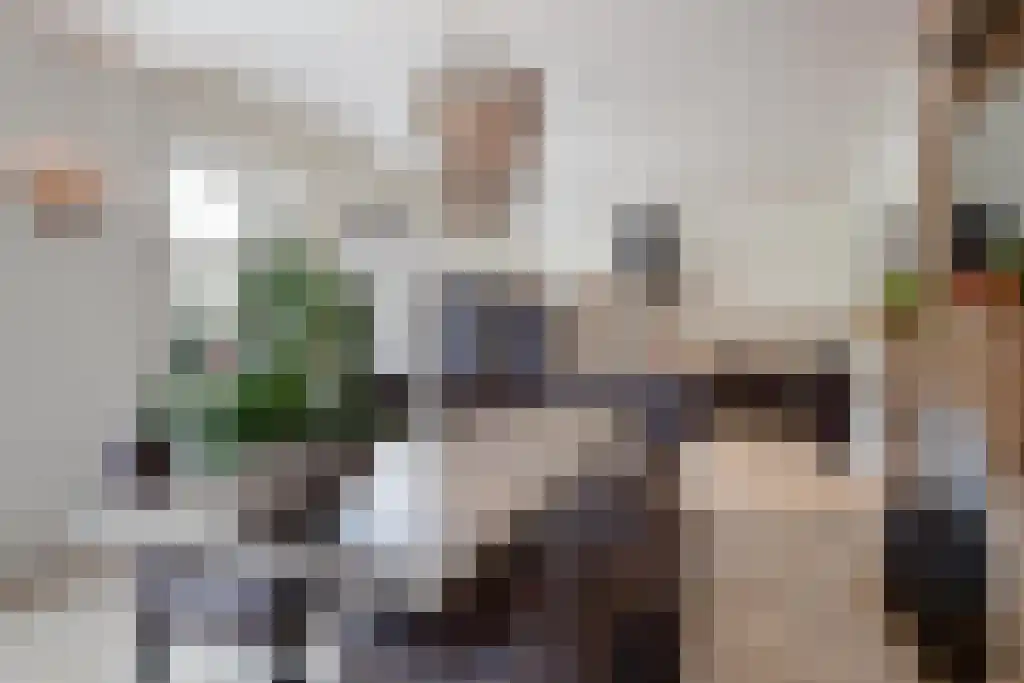 Kuiperstraat 2 B Halle thumbnail 34