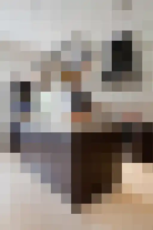 Kuiperstraat 2 B Halle thumbnail 40
