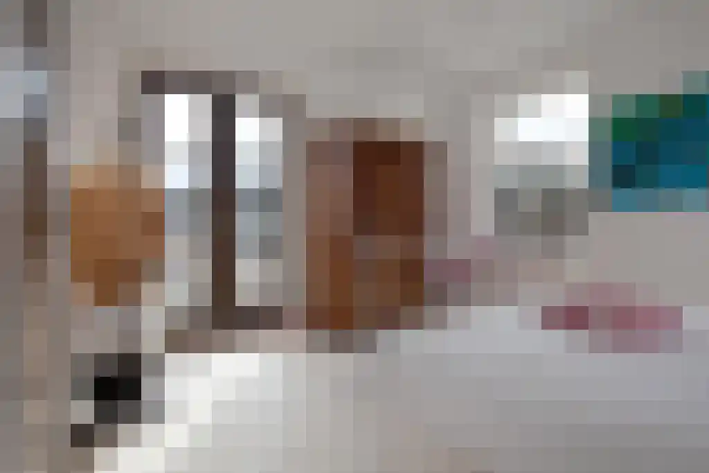 Kuiperstraat 2 B Halle thumbnail 42