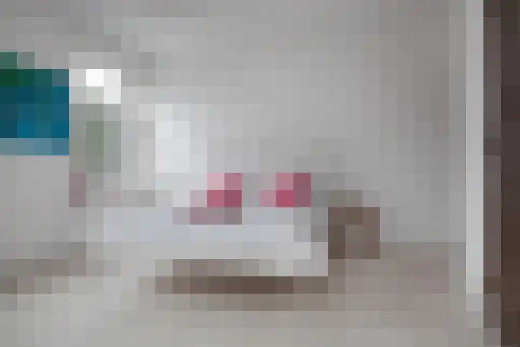 Kuiperstraat 2 B Halle thumbnail 43