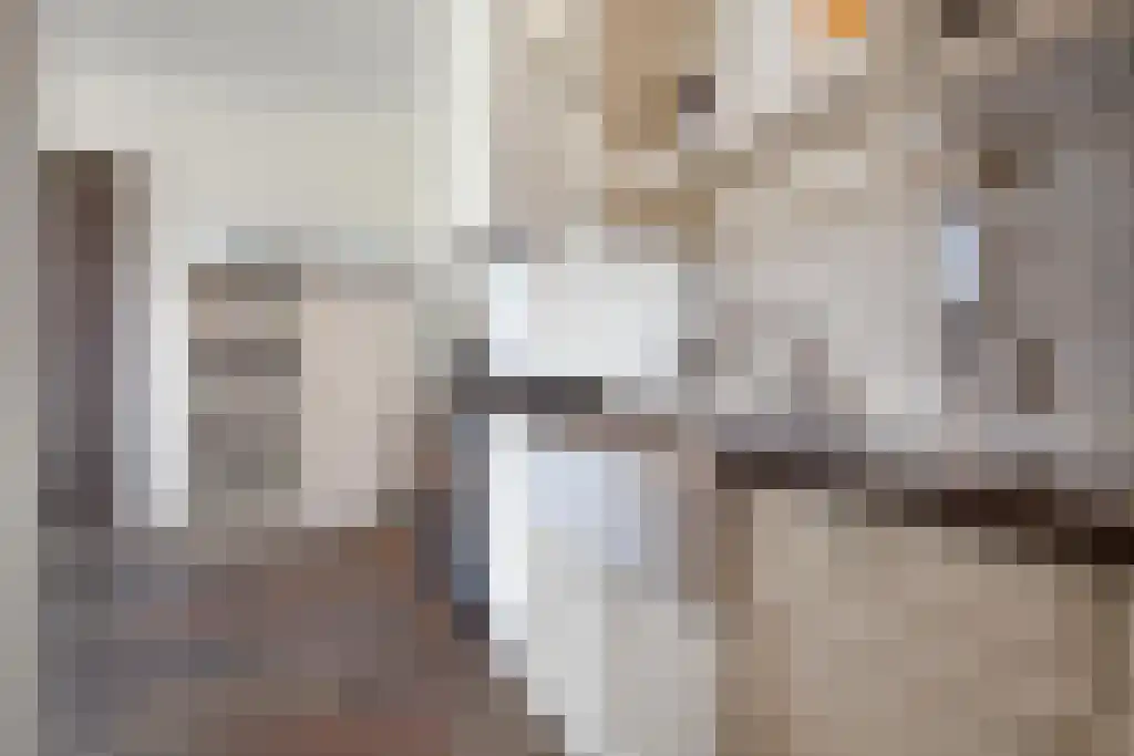 Kuiperstraat 2 B Halle thumbnail 51