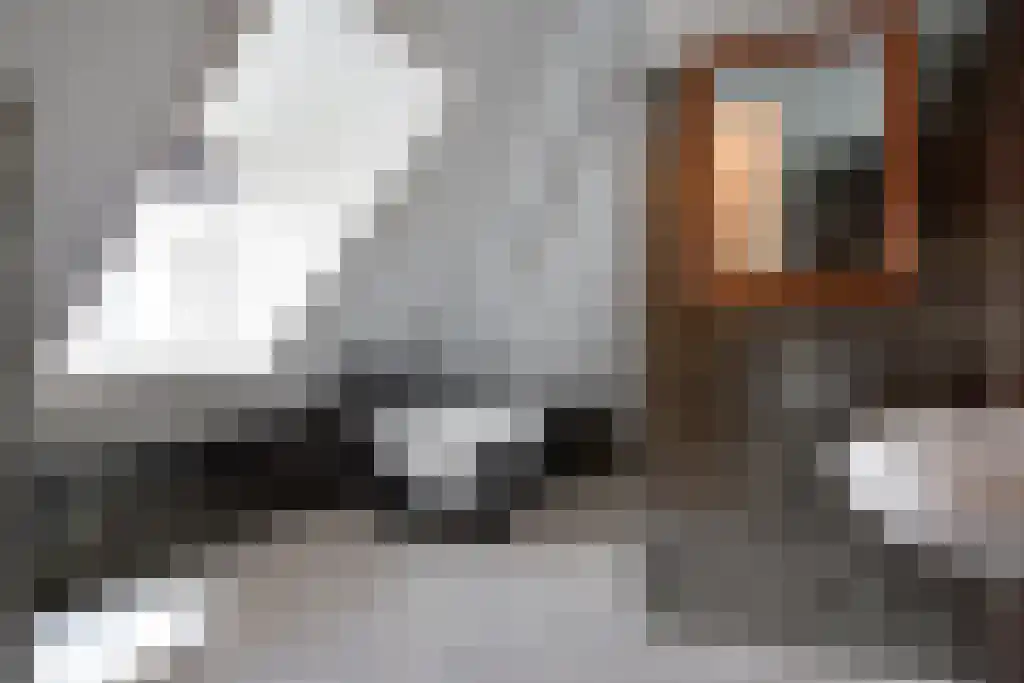 Kuiperstraat 2 B Halle thumbnail 59