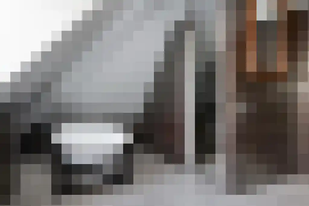 Kuiperstraat 2 B Halle thumbnail 61