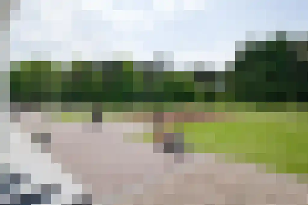 Kuiperstraat 2 B Halle thumbnail 64