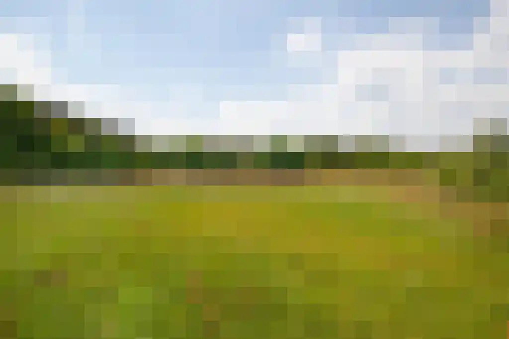 Kuiperstraat 2 B Halle thumbnail 65