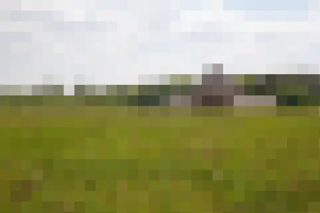 Kuiperstraat 2 B Halle thumbnail 66