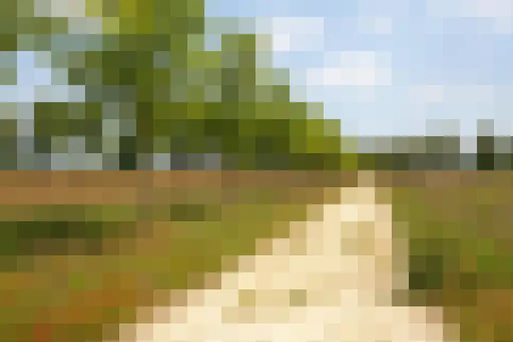 Kuiperstraat 2 B Halle thumbnail 67