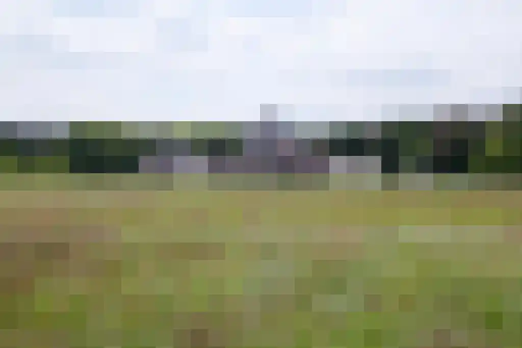 Kuiperstraat 2 B Halle thumbnail 68
