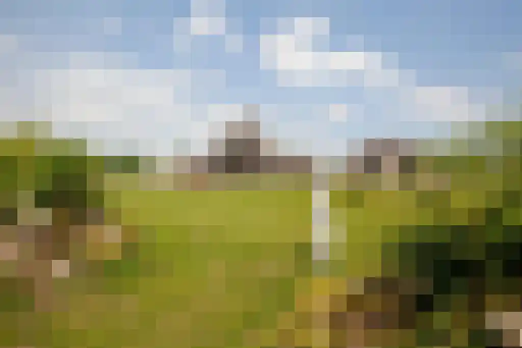 Kuiperstraat 2 B Halle thumbnail 73