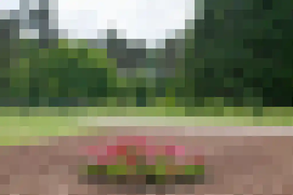 Kuiperstraat 2 B Halle thumbnail 74