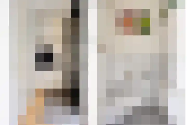 Kuiperstraat 2 D Oisterwijk thumbnail 13